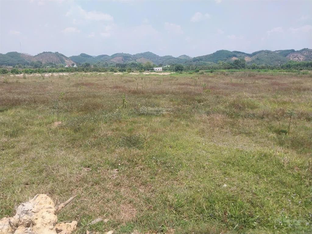 Bán đất tại đường tỉnh lộ 725, đạ kho, đạ tẻh, lâm đồng, giá siêu hời 1,85 tỷ, 9100 m2