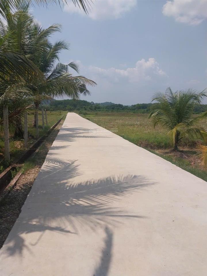 Bán đất tại đường tỉnh lộ 725, đạ kho, đạ tẻh, lâm đồng, giá siêu hời 1,85 tỷ, 9100 m2