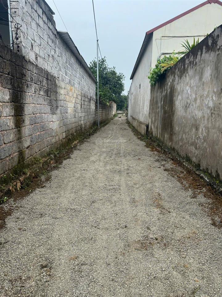 Chính chủ gửi bán lô đất đẹp tại văn sơn (hoàng văn thụ cũ), trần phú, hà nội.
