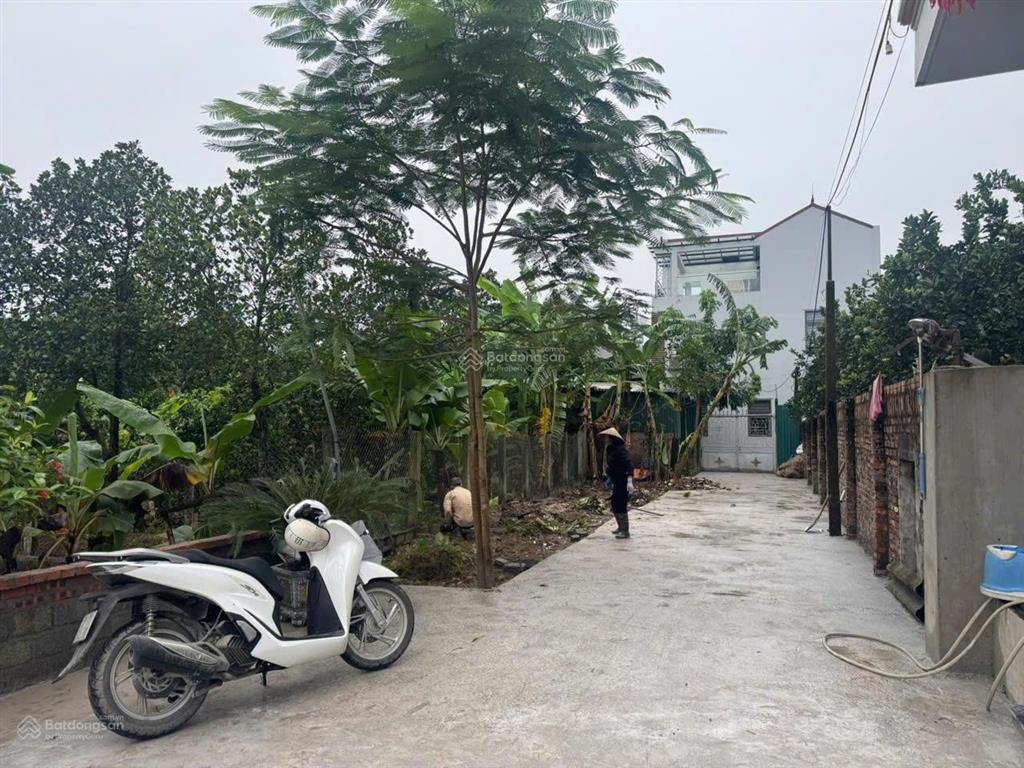 Chính chủ gửi bán lô đất đẹp tdp thụy hương, phường chương mỹ, hà nội