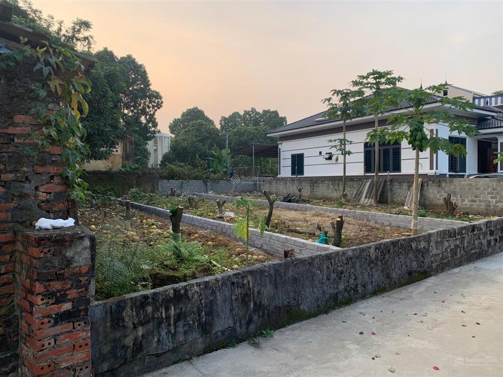 Đất vàng trung tâm xuân mai lựa chọn của nhà đầu tư thông thái