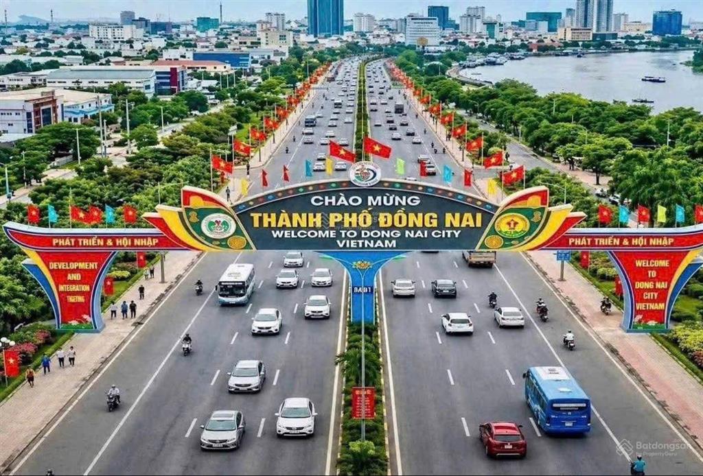 Mọi người tìm mua đất p tân triều đừng bỏ qua dự án sổ riêng thổ cư này nha