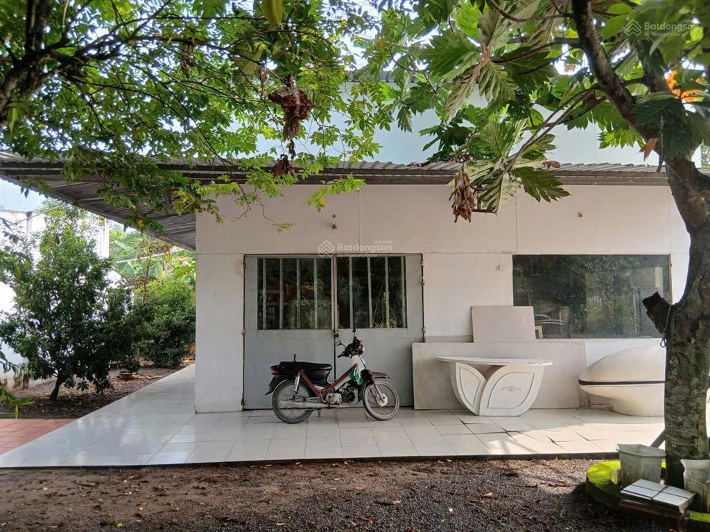 Thu hồi vốn bán lỗ lô đất shr ,thổ cư 1/ nguyễn văn khạ .phước vĩnh an củ chi