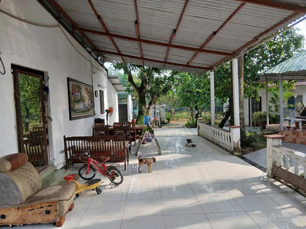 Thu hồi vốn bán lỗ lô đất shr ,thổ cư 1/ nguyễn văn khạ .phước vĩnh an củ chi