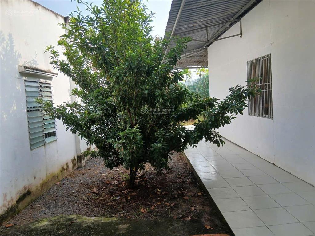 Thu hồi vốn bán lỗ lô đất shr ,thổ cư 1/ nguyễn văn khạ .phước vĩnh an củ chi