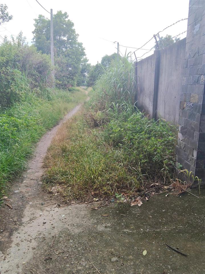 Thổ cư shr, kho xưởng sẵn mặt tiền 1/du thị hồi, củ chi