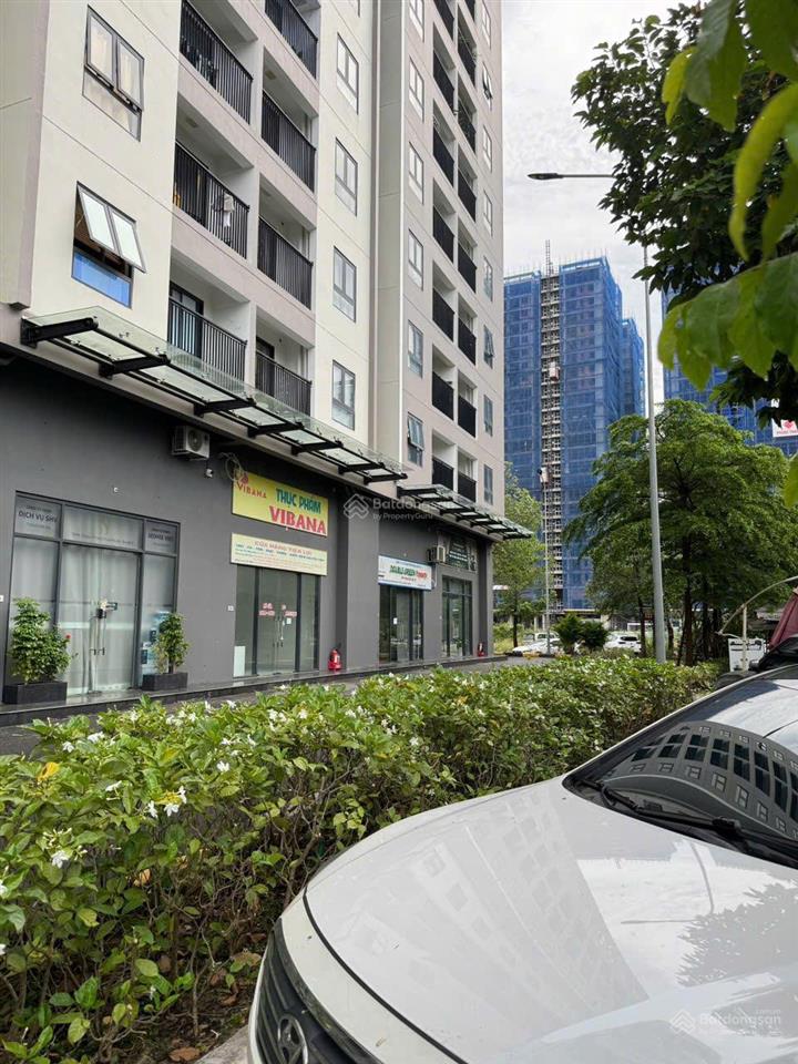 Bán căn hộ kinh doanh tm03 osimi phú mỹ 55 m2. và cho thuê. chính chủ. đt 0918 005 ***