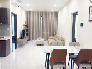 Cho thuê căn hộ cao cấp diamond centery  3pn view đẹp