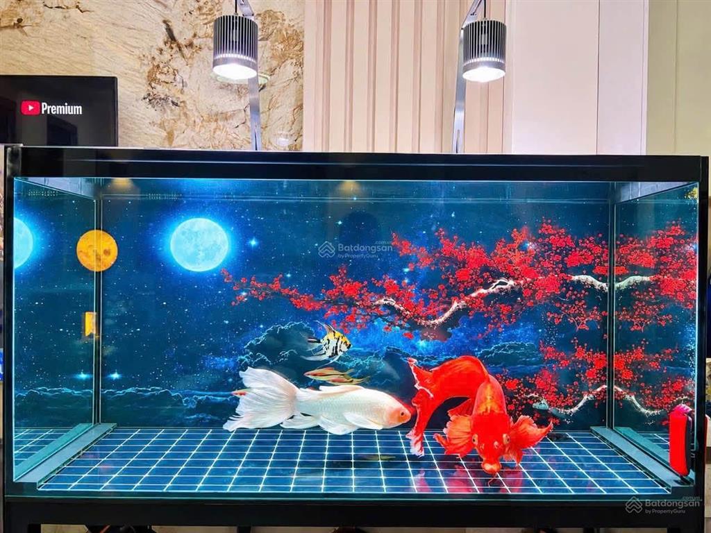 Bán nhà lõi trung tâm hàng kênh mới xây 2 năm 40m2độc lập 3 tầng1 quành nông đến nhà3,3 tỷsđcc