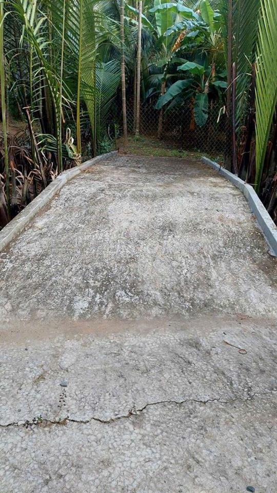 Đất vườn thổ cư xã Mỹ Thạnh huyện Giồng Trôm tỉnh Bến Tre