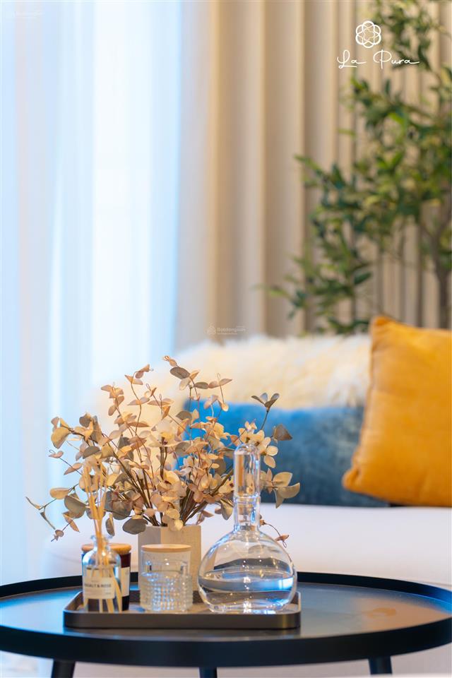 1pn la pura chỉ 2,12 tỷ thanh toán ban đầu chỉ khoảng 135 triệu