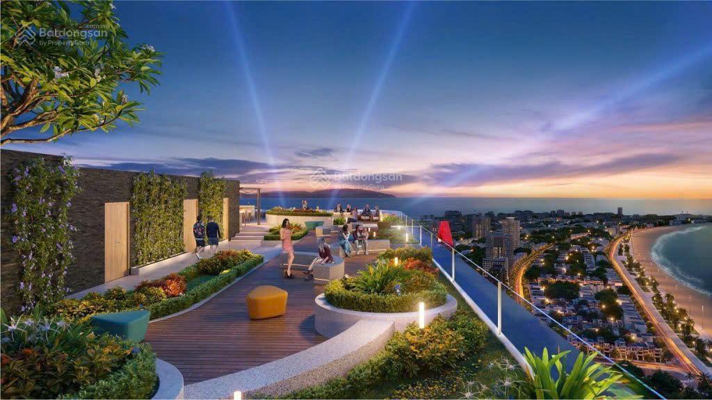 Căn hộ q'terra quy nhơn view biển trực diện, ngay trung tâm thành phố