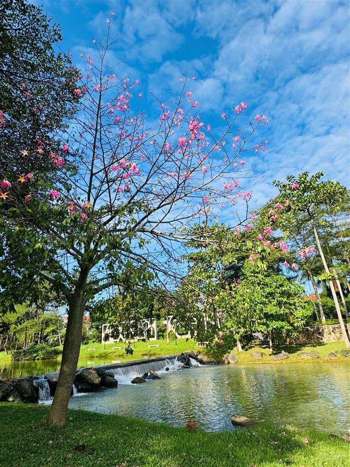 Biệt thự xanh villas full nội thất, khách hàng chỉ cần xách vali vào ở