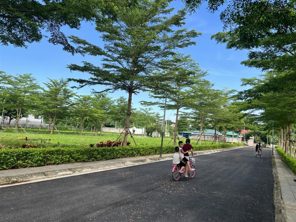 Cho thuê nhà vườn phong cách nhật bản