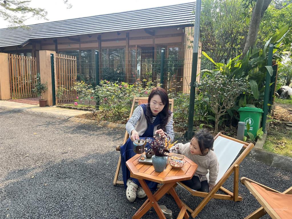 Cho thuê nhà vườn phong cách nhật bản
