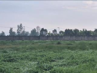 Đất nền củ chi diện tích lớn, chính chủ