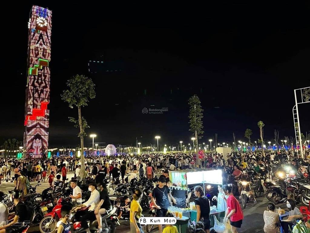 Kđt rùa vàng tây vôi em có các vị trí