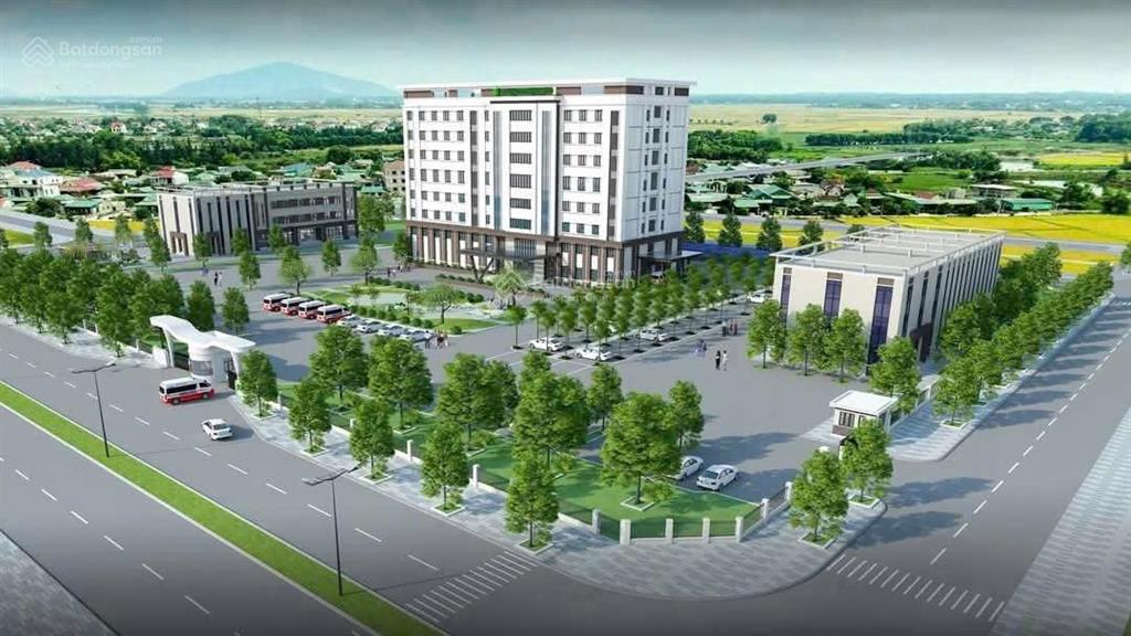 Kđt rùa vàng tây vôi em có các vị trí