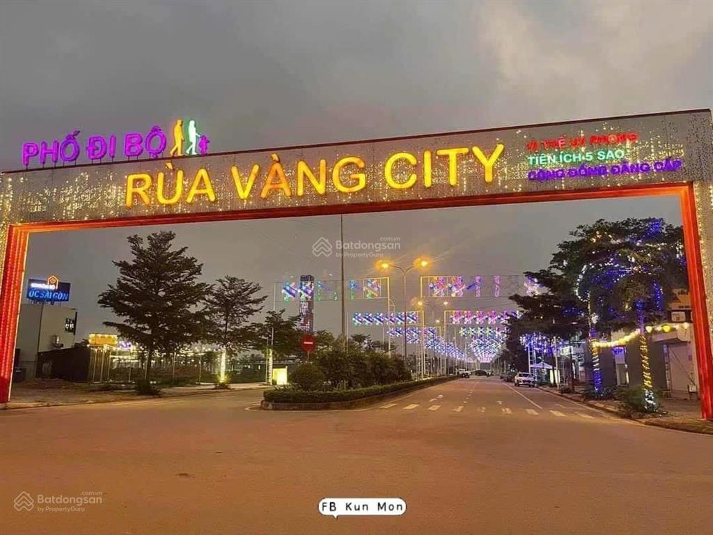 Kđt rùa vàng tây vôi em có các vị trí