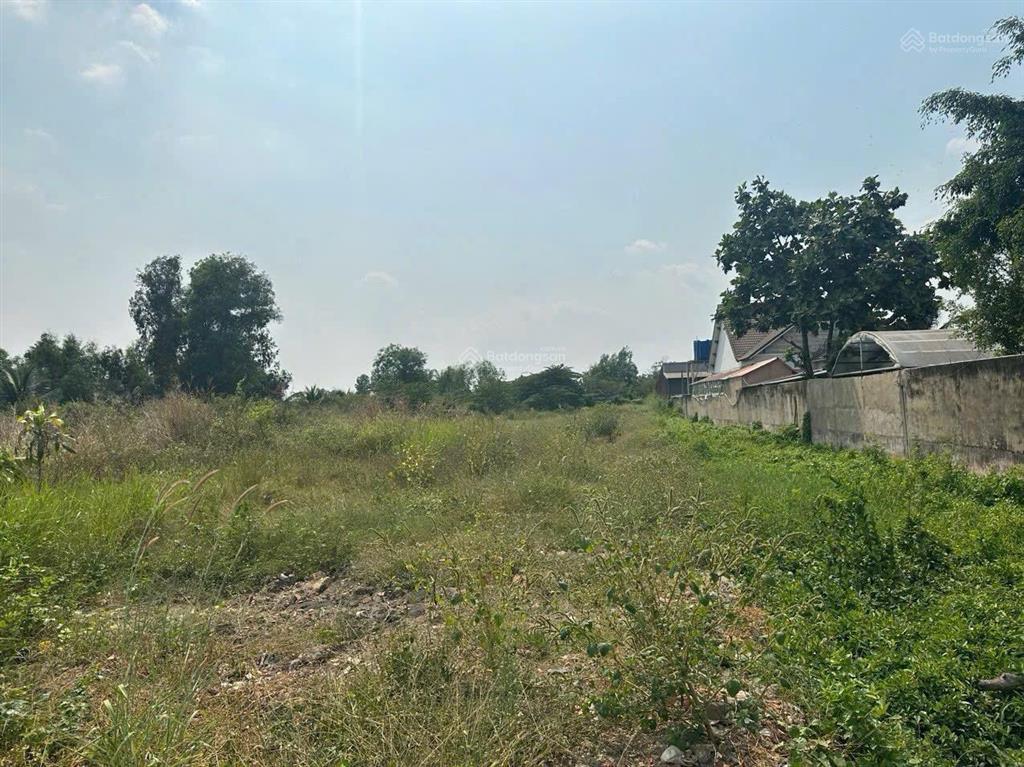 Cần bán 2000m2 ngang, đất kế bên khu công nghiệp lê minh xuân, bình chánh, hcm