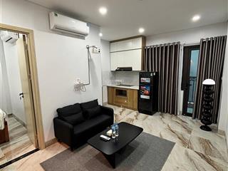 Cho thuê gấp ccmn thiết kế 1n1k giá 8tr8  ô tô đỗ cửa ở 461 hoàng hoa thám, ba đình, hà nội