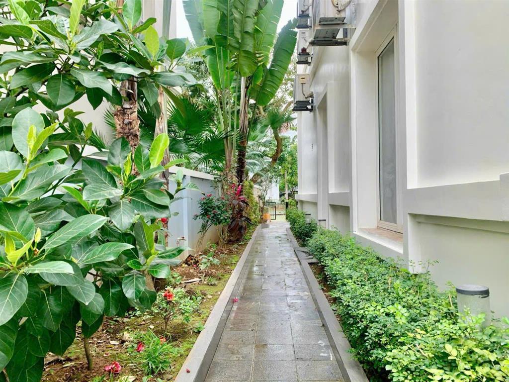 Cho thuê biệt thự vinhomes riverside đường hoa sữa, long biên