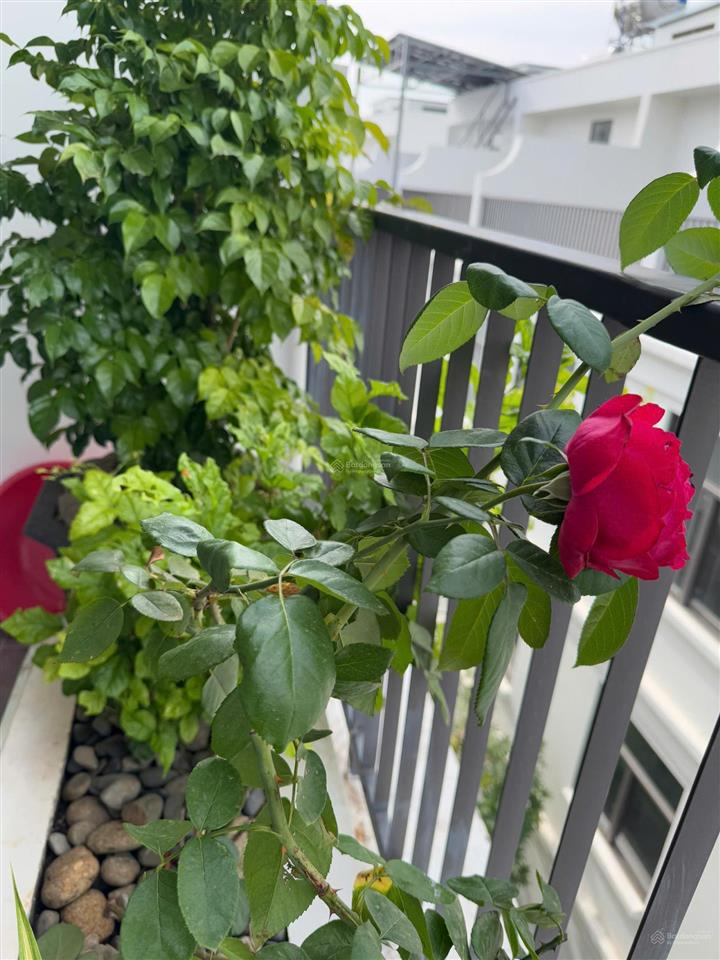 Chuyển nhượng căn nhà phố trong lavidahướng đông namthoáng mátphong thủy tốtfull nội thất xịn