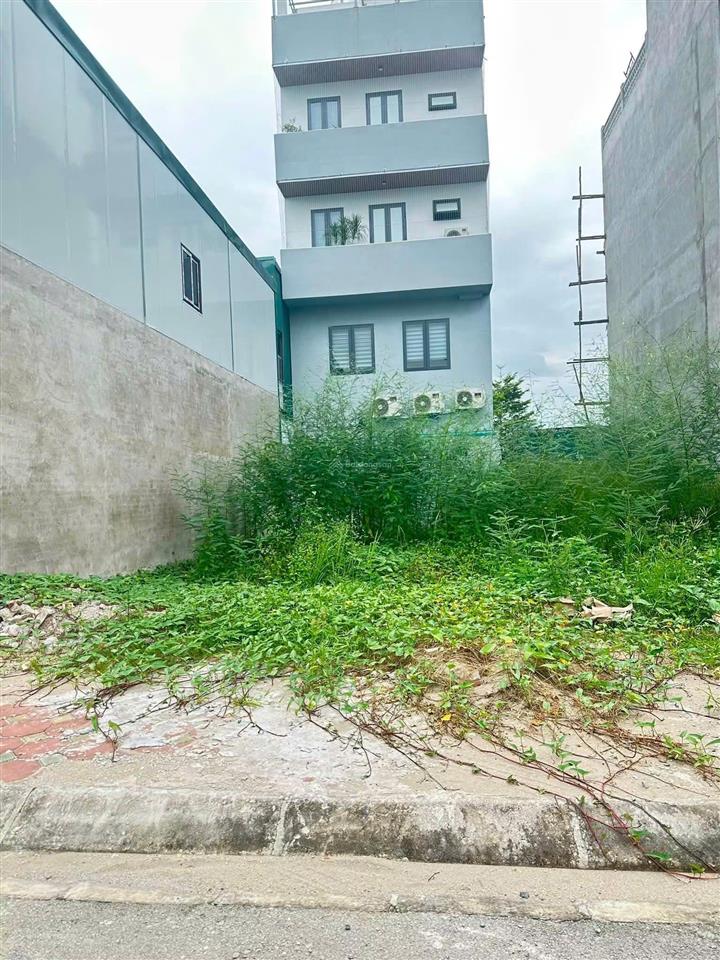 Bán đất đấu giá huỳnh cung tại xã tam hiệp, huyện thanh trì, giá siêu hời 12 tỷ, 80 m2
