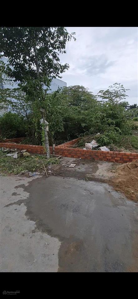 Bán đất đường tránh cần đước  105m2  1,1tỷ