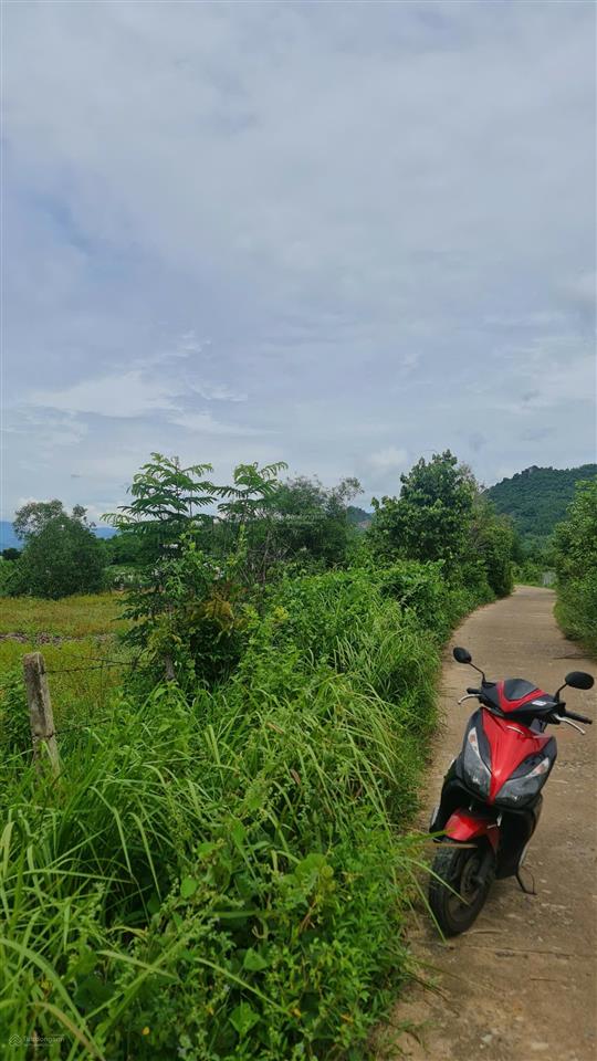 Bán đất khánh đông 2.500m2 quy hoạch full thổ cư  1,5 tỷ