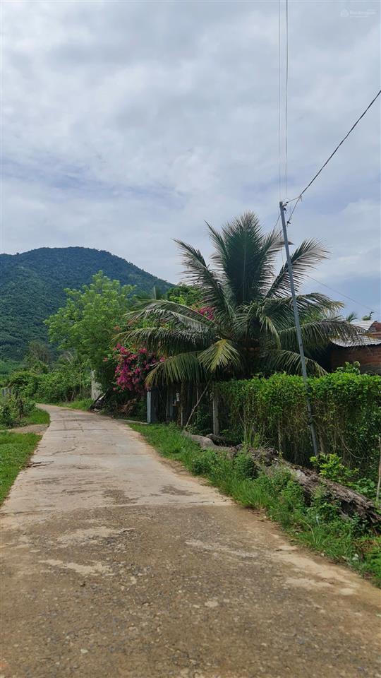 Bán đất khánh đông 2.500m2 quy hoạch full thổ cư  1,5 tỷ