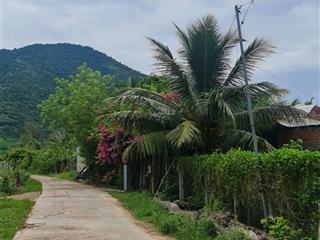 Bán đất khánh đông 2.500m2 quy hoạch full thổ cư  1,5 tỷ
