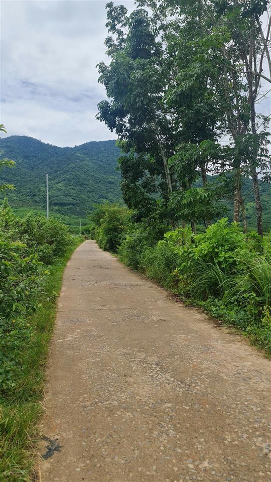 Bán đất khánh đông 2.500m2 quy hoạch full thổ cư  1,5 tỷ