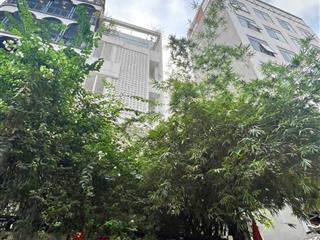 (vvip) bán tòa nhà 7 tầng đ. nguyễn văn mai giáp hai bà trưng q.3  ngang 5.3m, dt sàn 480m2 41.5tỷ