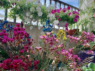 Hiếm! bán căn 2pn  75m2 ct18 việt hưng (happy house). giá 4,4 tỷ