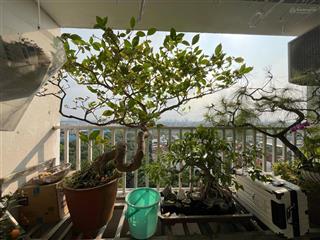 Hiếm! bán nhanh căn 94m2  3pn  2wc tòa happy house  ct18 việt hưng giá 5,6 tỷ