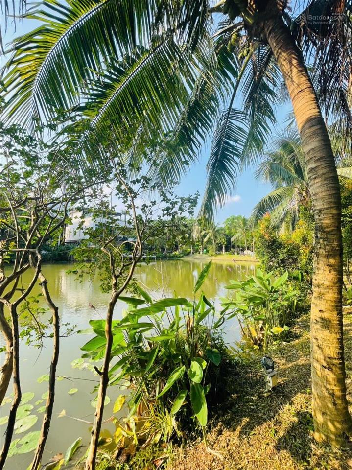 Bán bt tại ecopark grand  the island, 70 tỷ, 270m2, 4pn, 4wc, 3 tầng