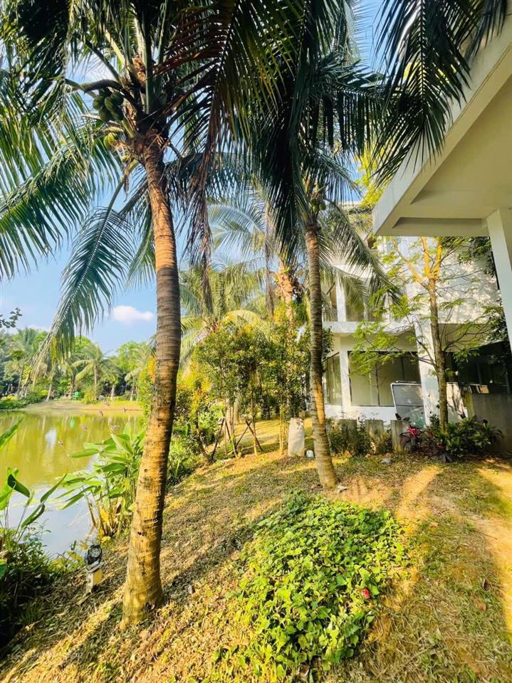 Bán bt tại ecopark grand  the island, 70 tỷ, 270m2, 4pn, 4wc, 3 tầng