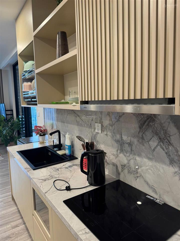 Căn hộ 2pn full nội thất tại sky forest residences ecopark, 6,5 tỷ, 77m2 bao đẹp 22m2 sân vườn