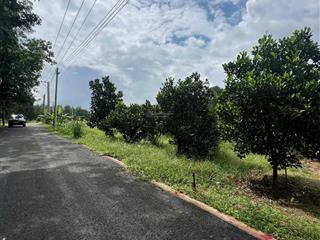Cần sang lại miếng vườn 1082m² giá 580tr đang trồng sẵn mít có 200m² thổ cư sổ hồng riêng