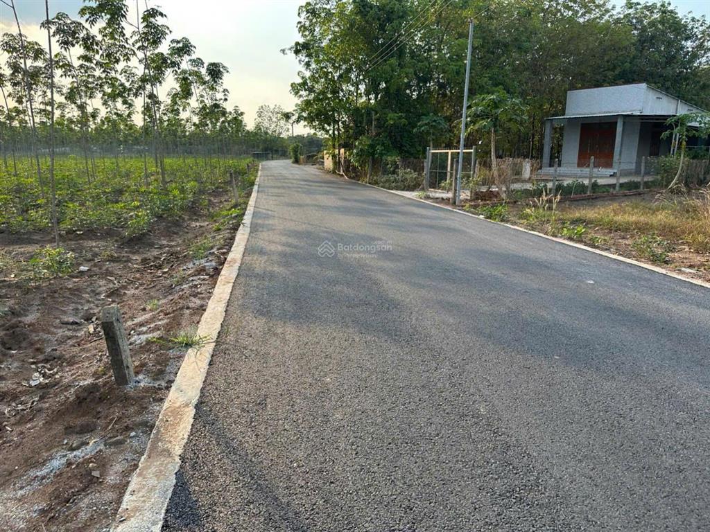 Bán gấp đất tại tp.hcm 10m ngang nhựa thông 2 đầu đẹp giá 550tr  sổ hồng riêng  dh507 vào 20m
