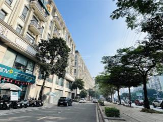 Bán biệt thự song lập an hưng 250m2, view công viên, 4 tầng, 55 tỷ thương lượng