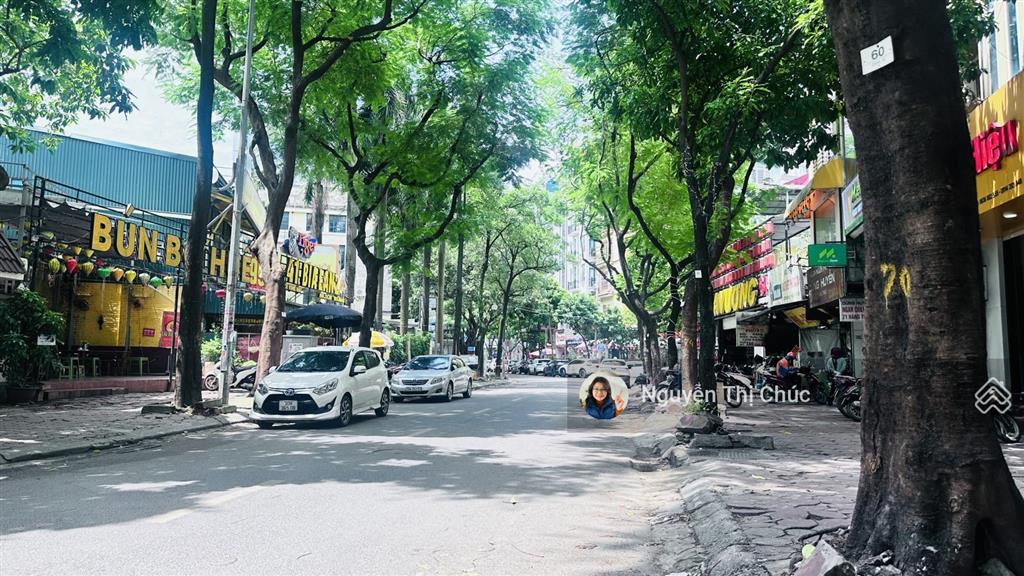 Bán 260m2 đất phân lô vỉa hè ô tô trần thái tông  mt 8.5m, xây 12 tầng làm vp, trụ sở 115 tỷ tl