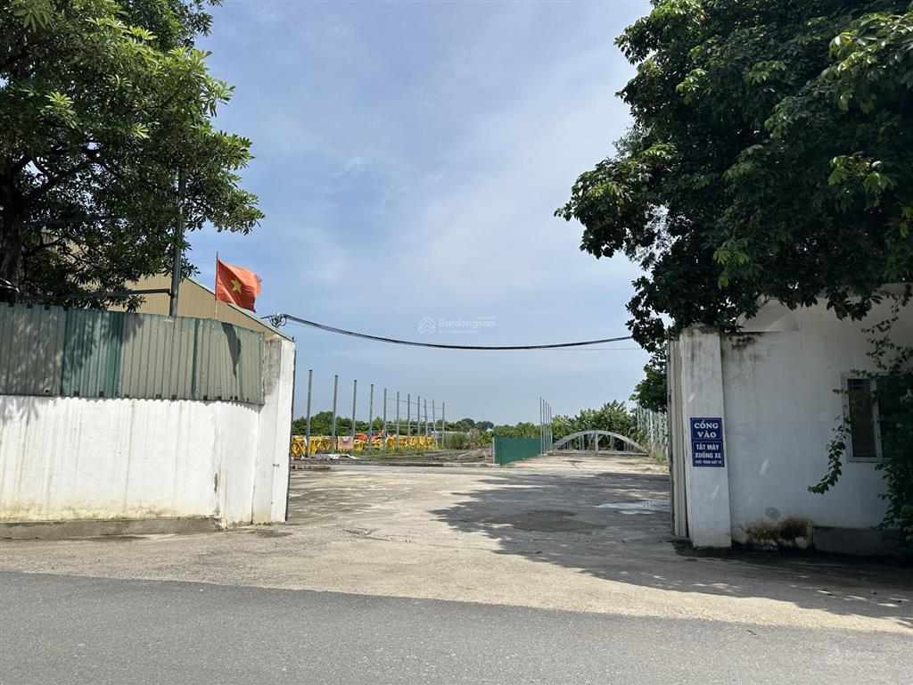 Bán nhà xưởng ngọc hồi 3600m², mặt tiền 100m, xe container vào tận nơi, 116 tỷ tl