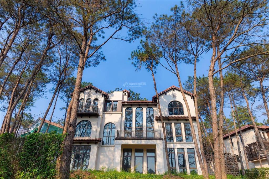Một căn hiếm có biệt thự sl thung lũng thanh xuân giữa rừng thông  nhận nhà ở ngay.