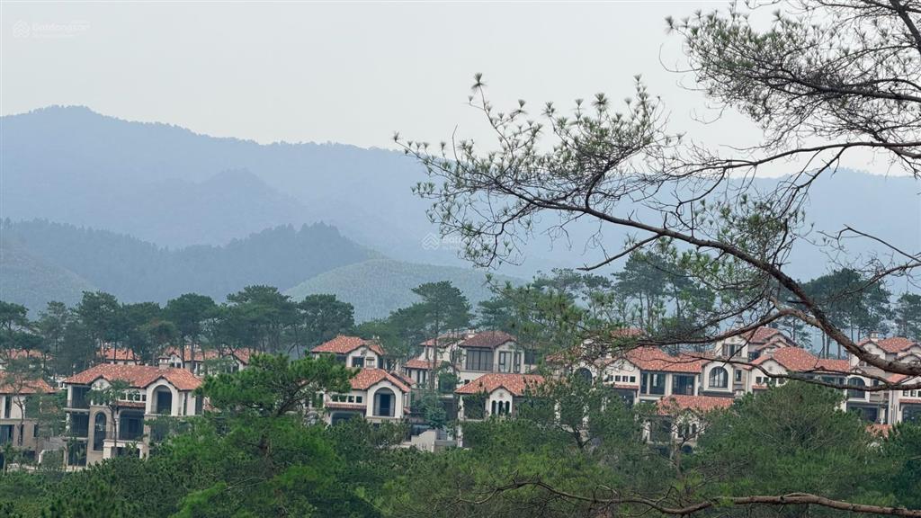 Một căn hiếm có biệt thự sl thung lũng thanh xuân giữa rừng thông  nhận nhà ở ngay.