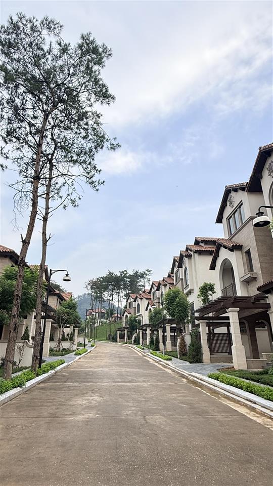 Một căn hiếm có biệt thự sl thung lũng thanh xuân giữa rừng thông  nhận nhà ở ngay.