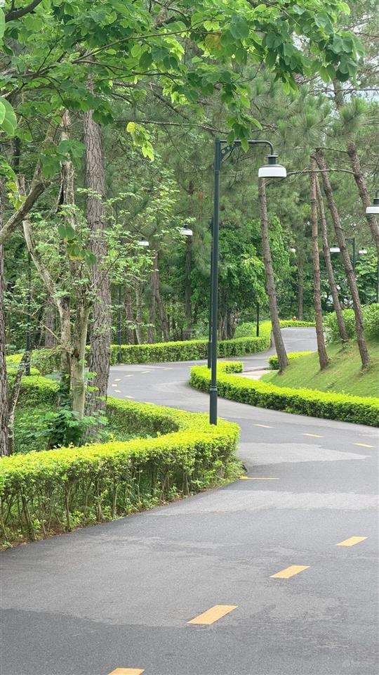 Một căn hiếm có biệt thự sl thung lũng thanh xuân giữa rừng thông  nhận nhà ở ngay.