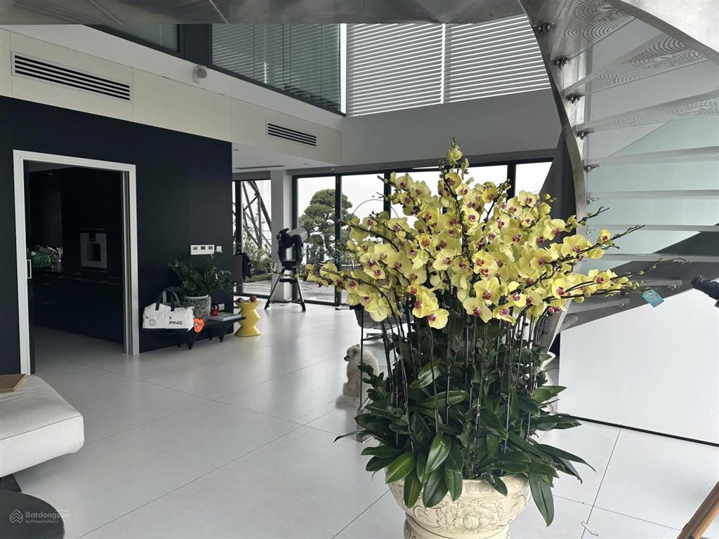 Penhouse duplex chủ nhà giảm giá 5 tỷ. diện tích 278m2 sân vườn 133m2 thiết kế 4n4vs giá 39 tỷ