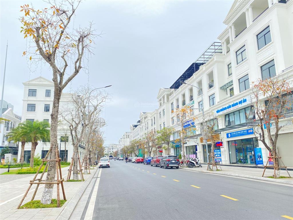 Quỹ căn rẻ đẹp mới nhất dự án, mặt đường trục chính, 105m2, chỉ 8.8 tỷ, view công viên, cực hiếm